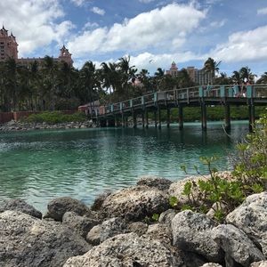 Meet your Posher, Catherine